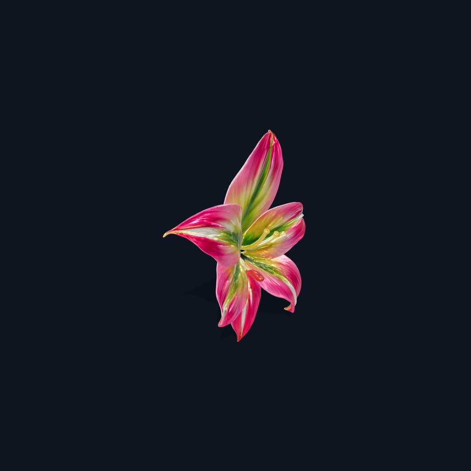 Vibrant Flower Model Pack with Detailed Petals viewer poster