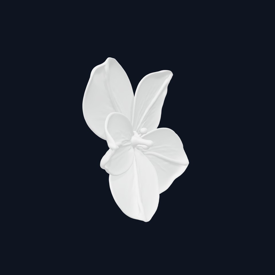 Vibrant Multicolor Flower Model Pack for D Rendering and Animation viewer poster