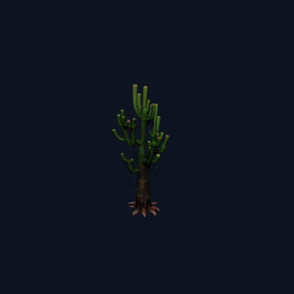 Realistic Cactus D Model Pack viewer poster