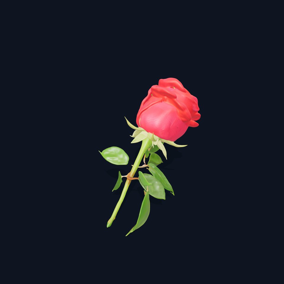 Realistic Red Rose D Model Pack viewer poster