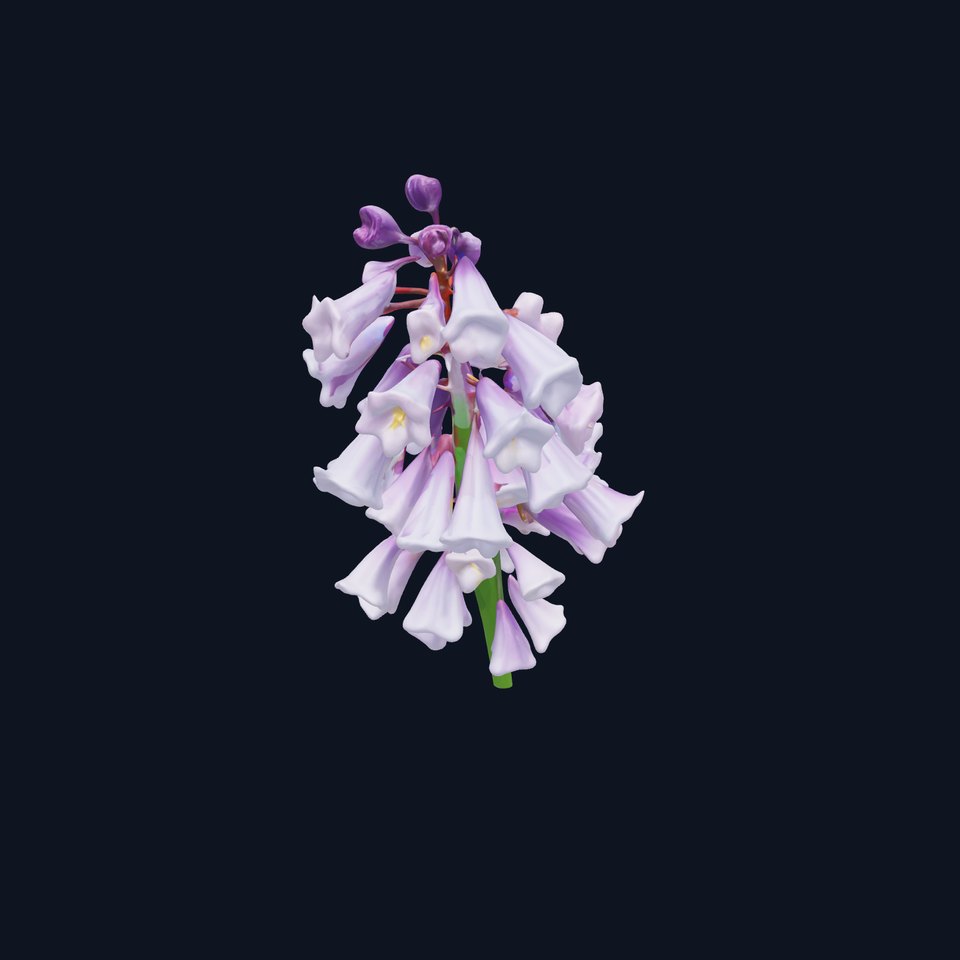 Lilac Hyacinth Flower Model Pack viewer poster