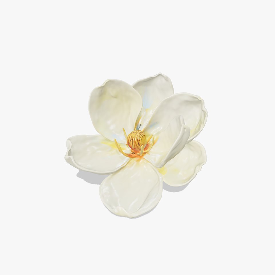 White Magnolia Flower Model Pack viewer poster