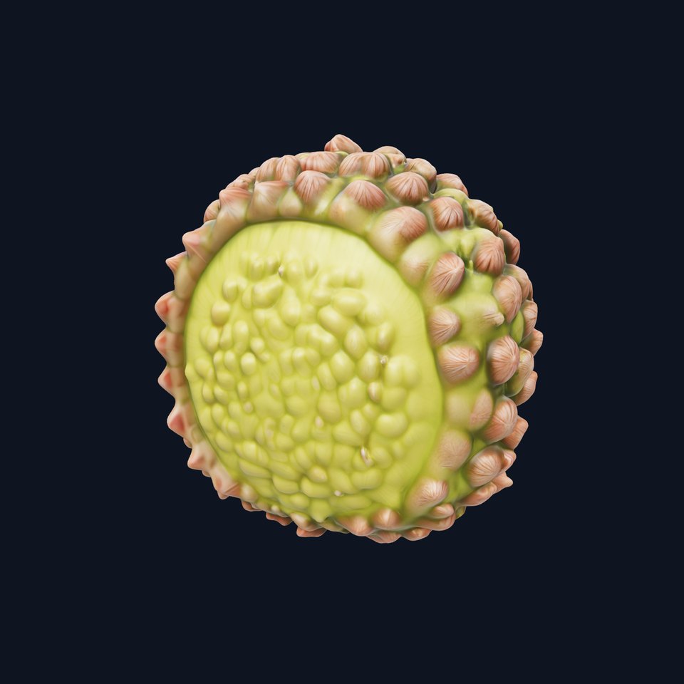 Exotic Fruit Jackfruit Model Pack for Environment and Animation viewer poster