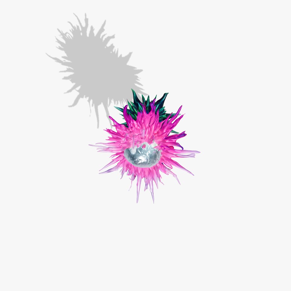 Exotic Flower Model Pack with PBR Textures viewer poster