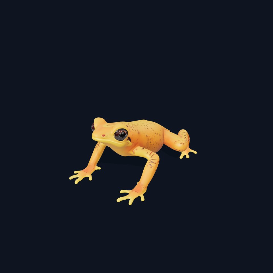 Vibrant Orange Frog Model Pack viewer poster