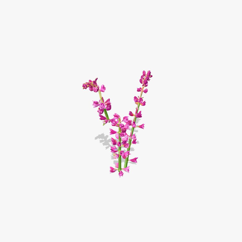 Vibrant Pink Flower Model Pack viewer poster