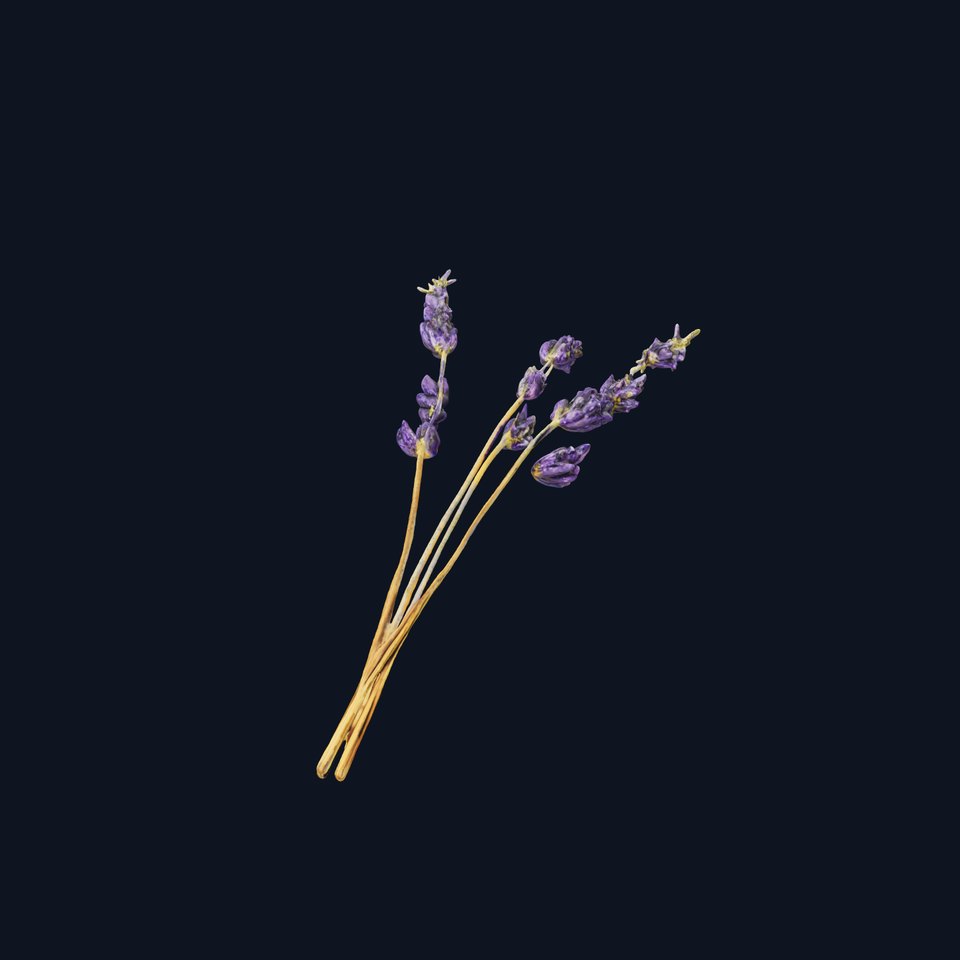 Lavender Bouquet D Model Pack viewer poster