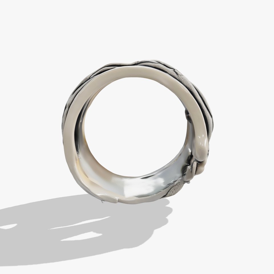 Intricate Woven Ring Model Pack with Inscription viewer poster