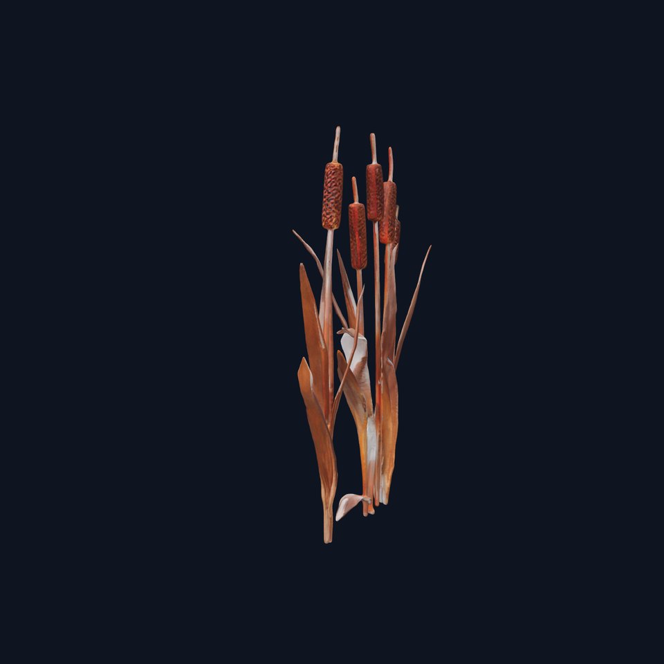 Cattail Plants D Model Pack viewer poster