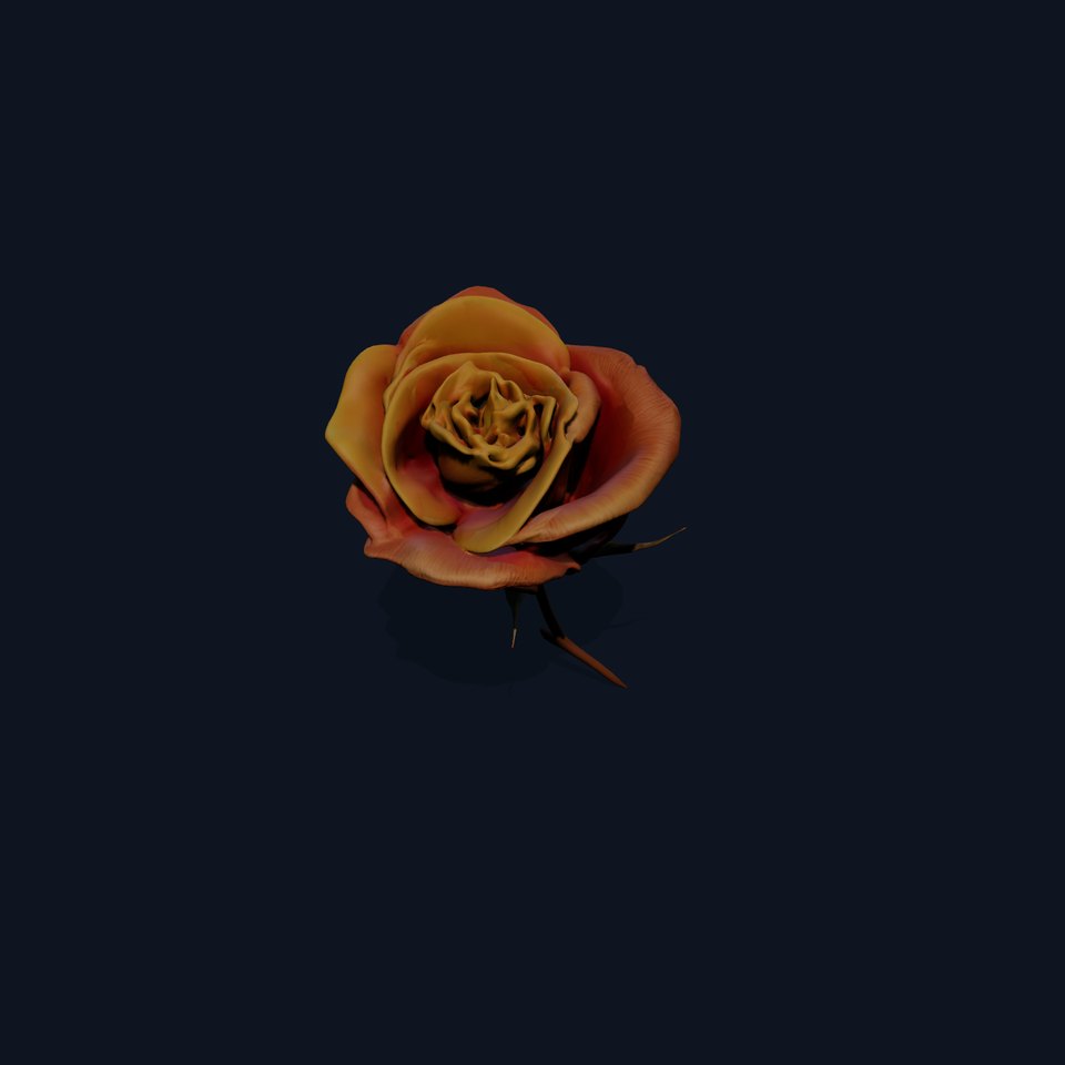 Rose Model Pack  Detailed Floral Asset viewer poster