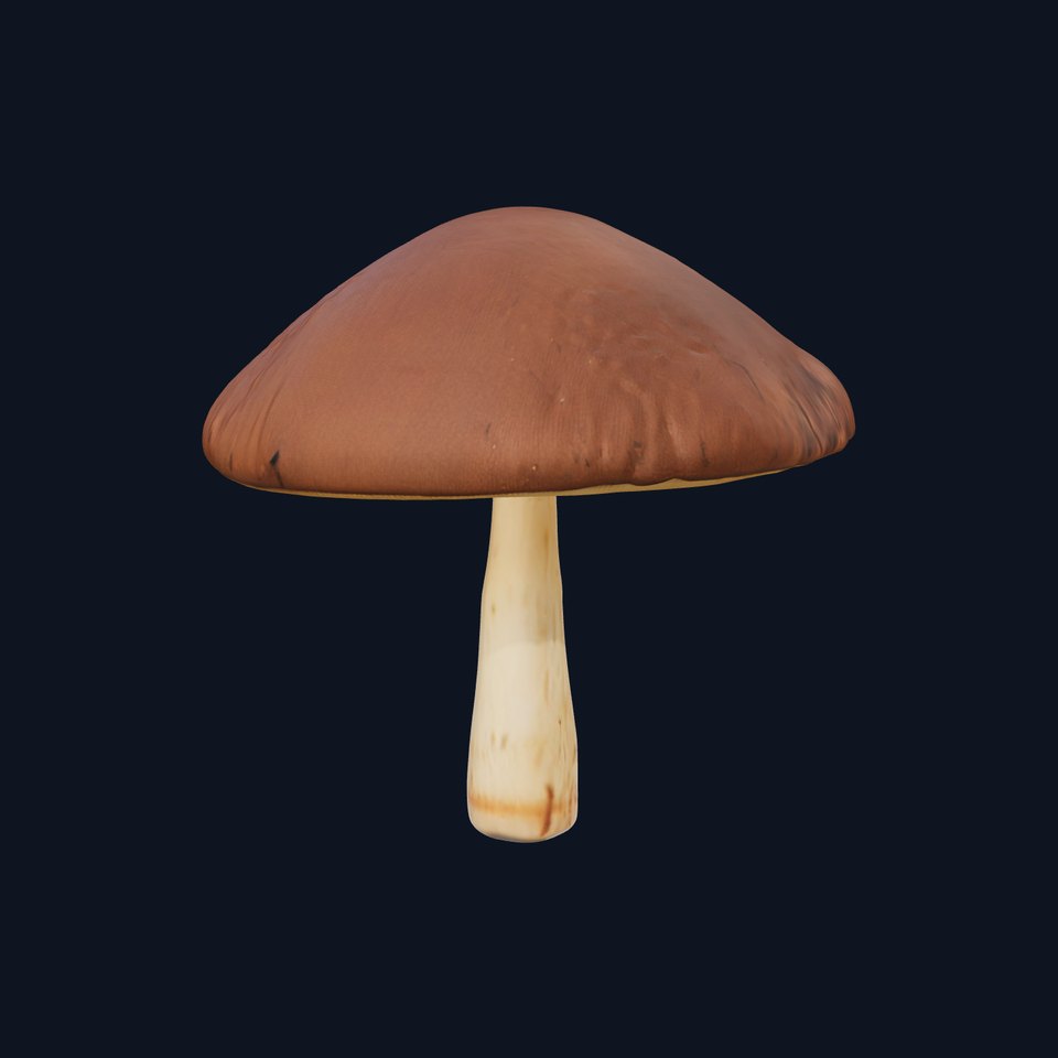 Realistic Mushroom Model Pack viewer poster