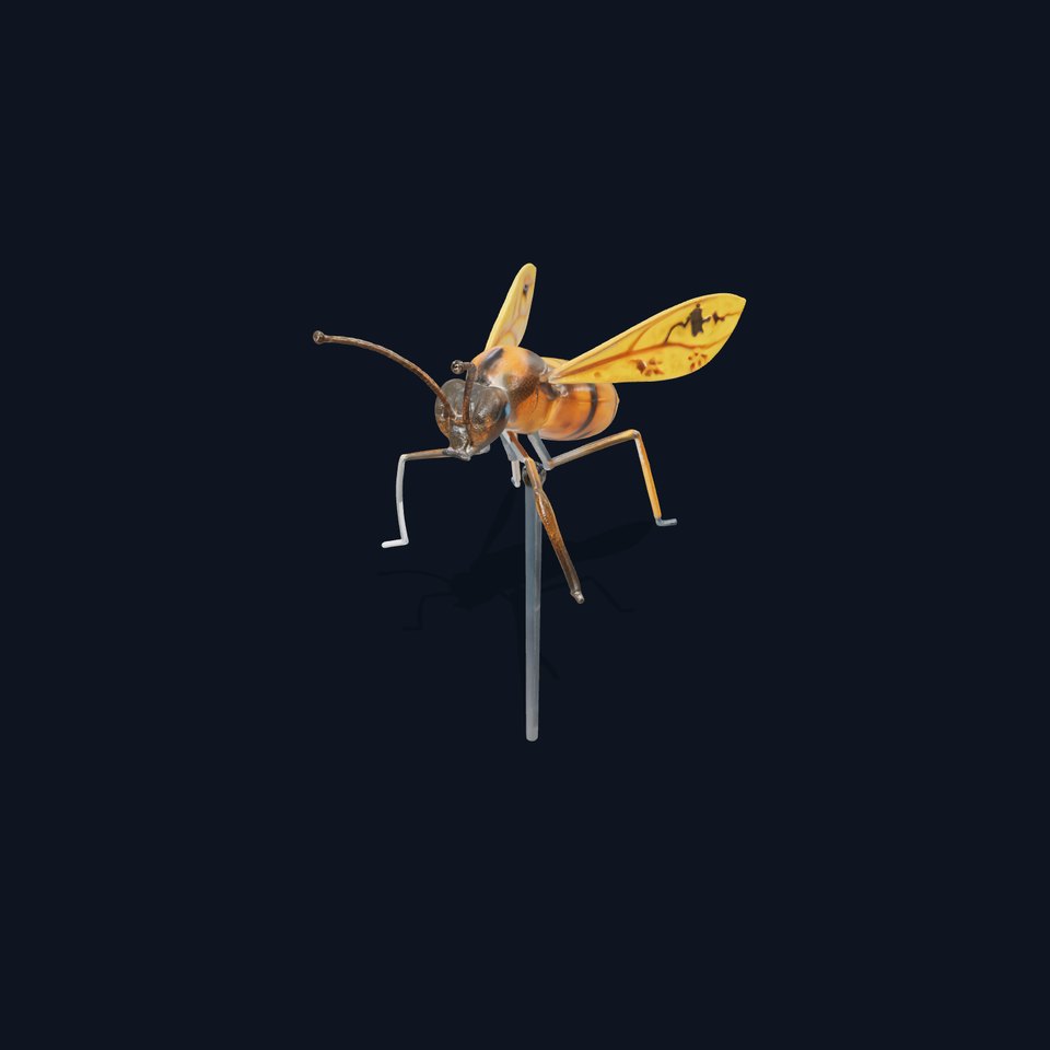 Stylized Insect Model Pack for D Animations viewer poster