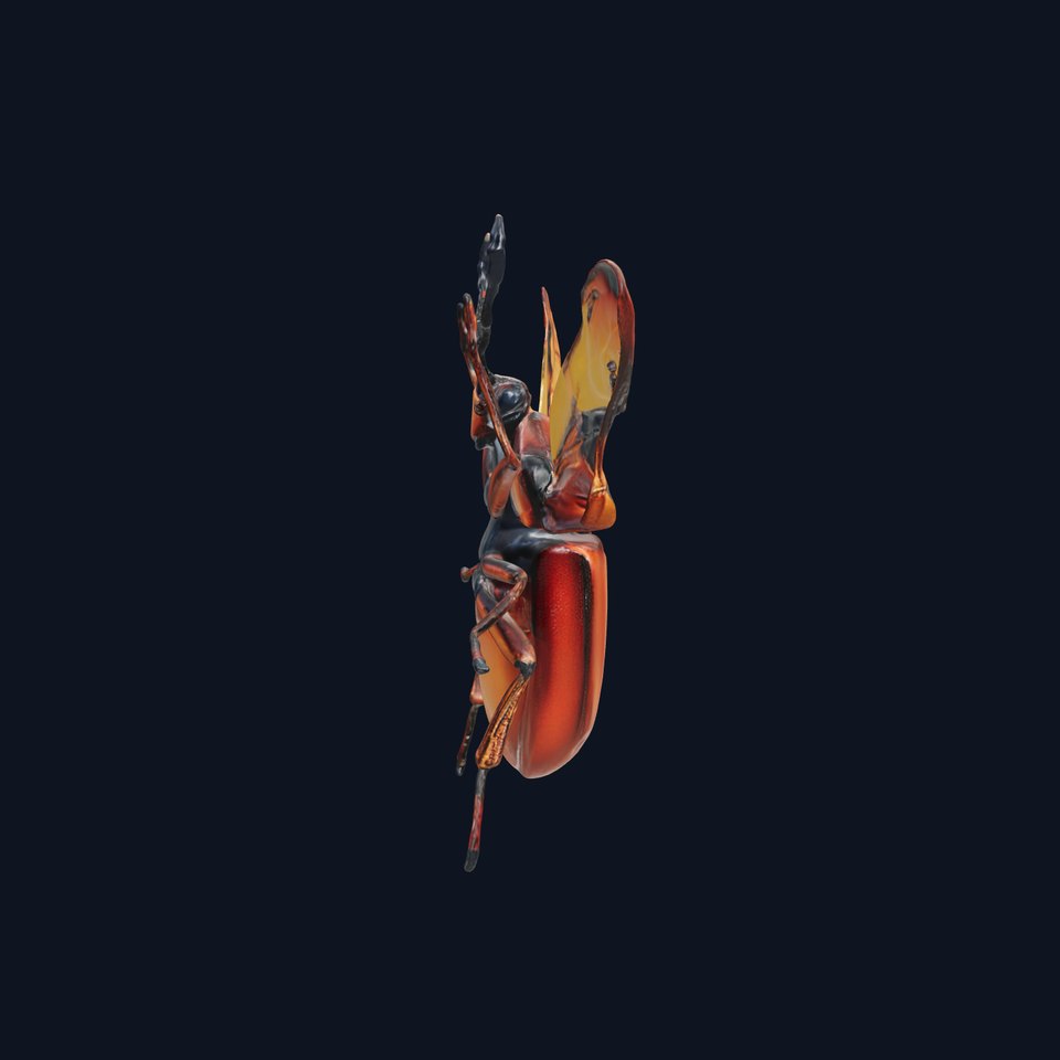 Orange Beetle D Model Pack viewer poster