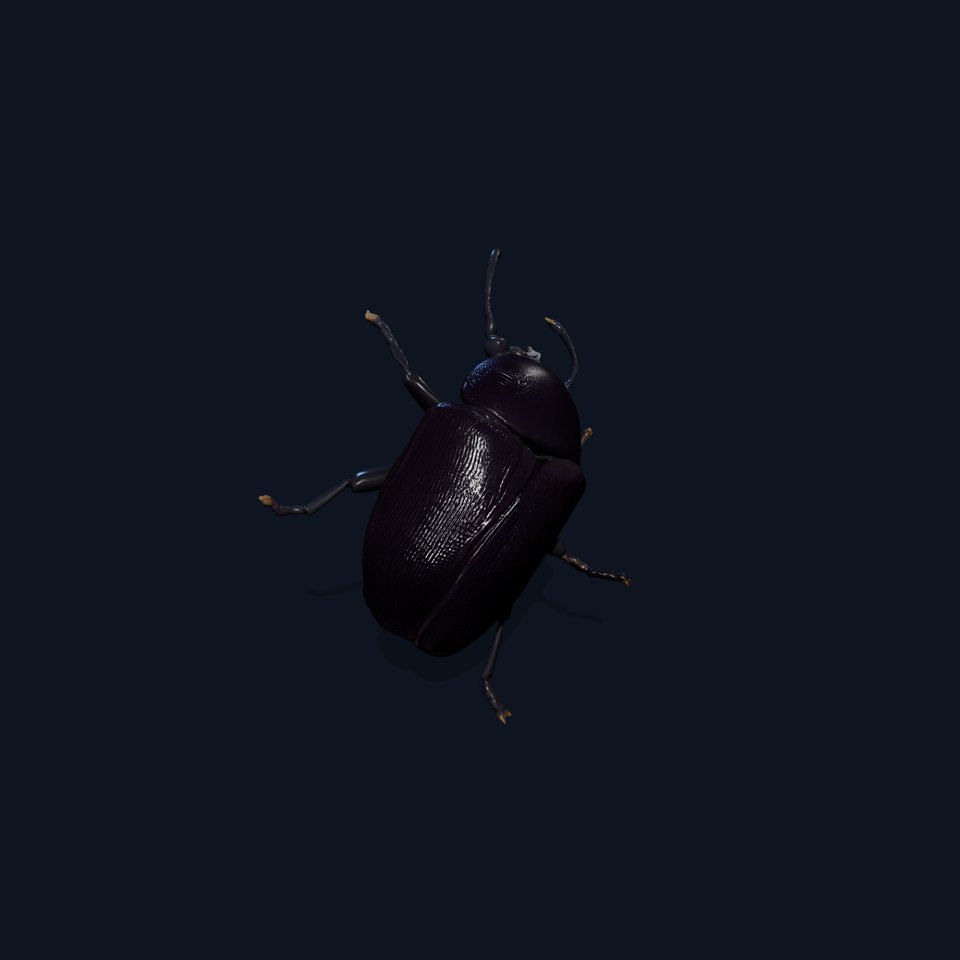 Iridescent Beetle D Model Pack with High Detail viewer poster