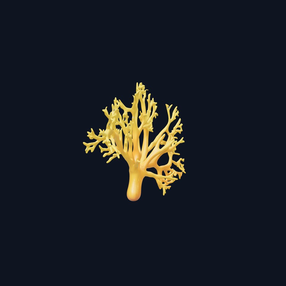 Yellow Coral Model Pack for Realistic Rendering and Simulation viewer poster