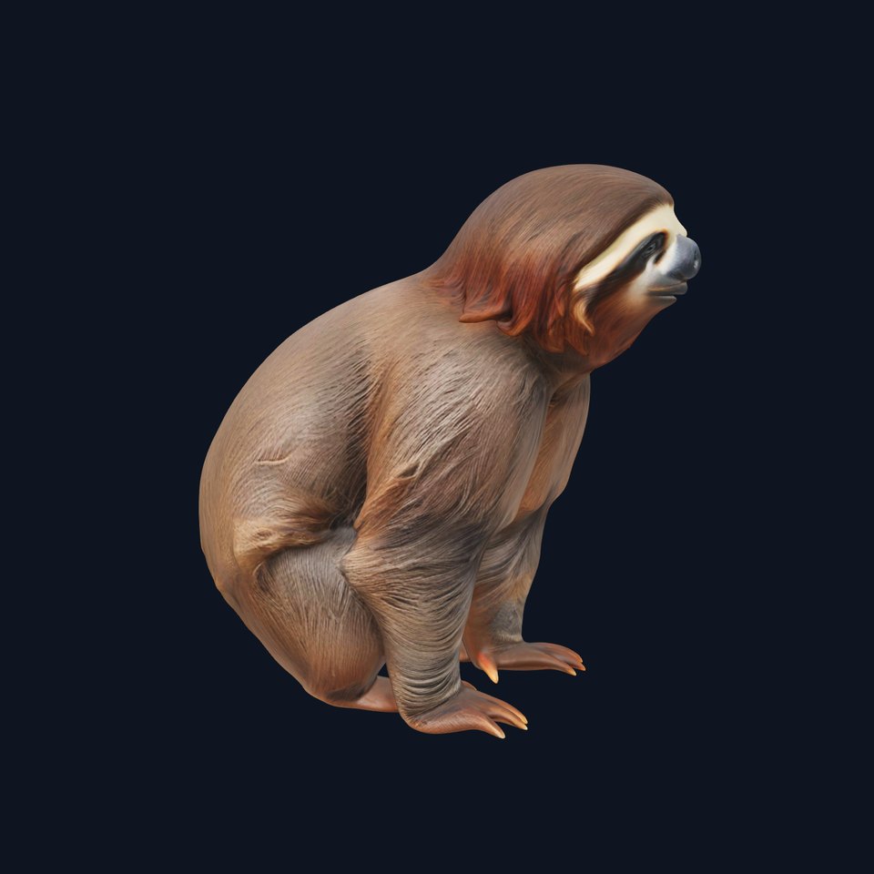 Sloth D model pack  Realistic and Detailed viewer poster