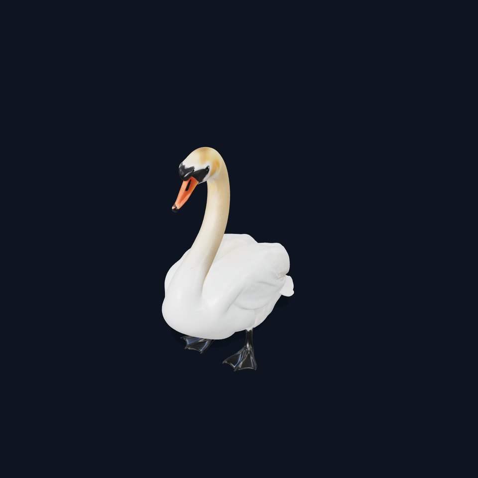 Elegant Swan D Model Pack for Detailed Rendering viewer poster