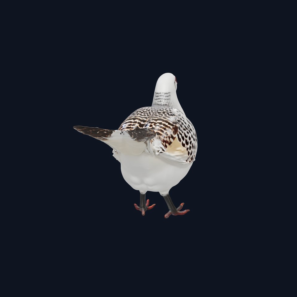 Elegant Pheasant D Model Pack for Interactive and Rendering Uses viewer poster