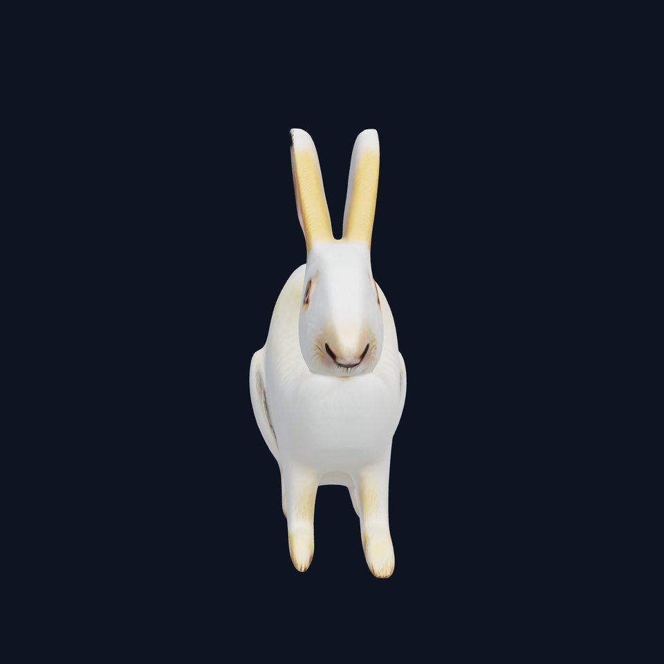 Realistic Rabbit Model Pack for D Rendering and Games viewer poster