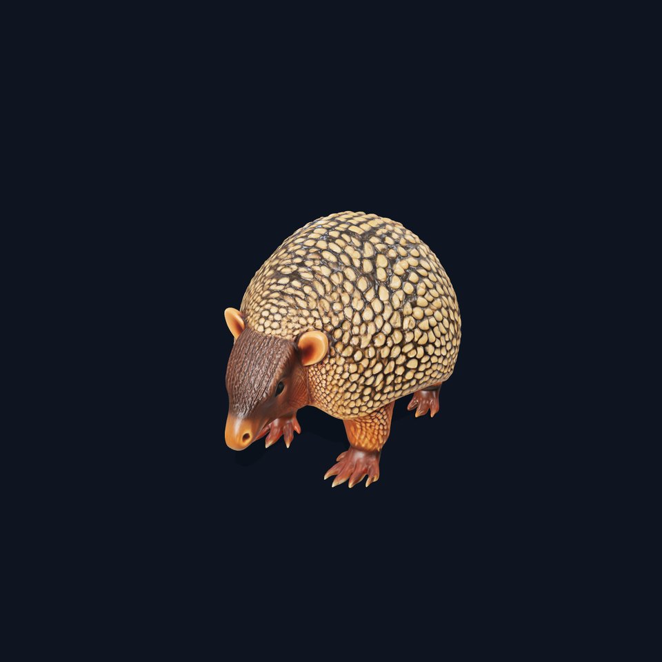 Armadillo D Model Pack with Textured Shell