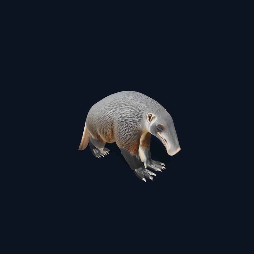 Anteater Model Pack  Detailed and Versatile D Creature