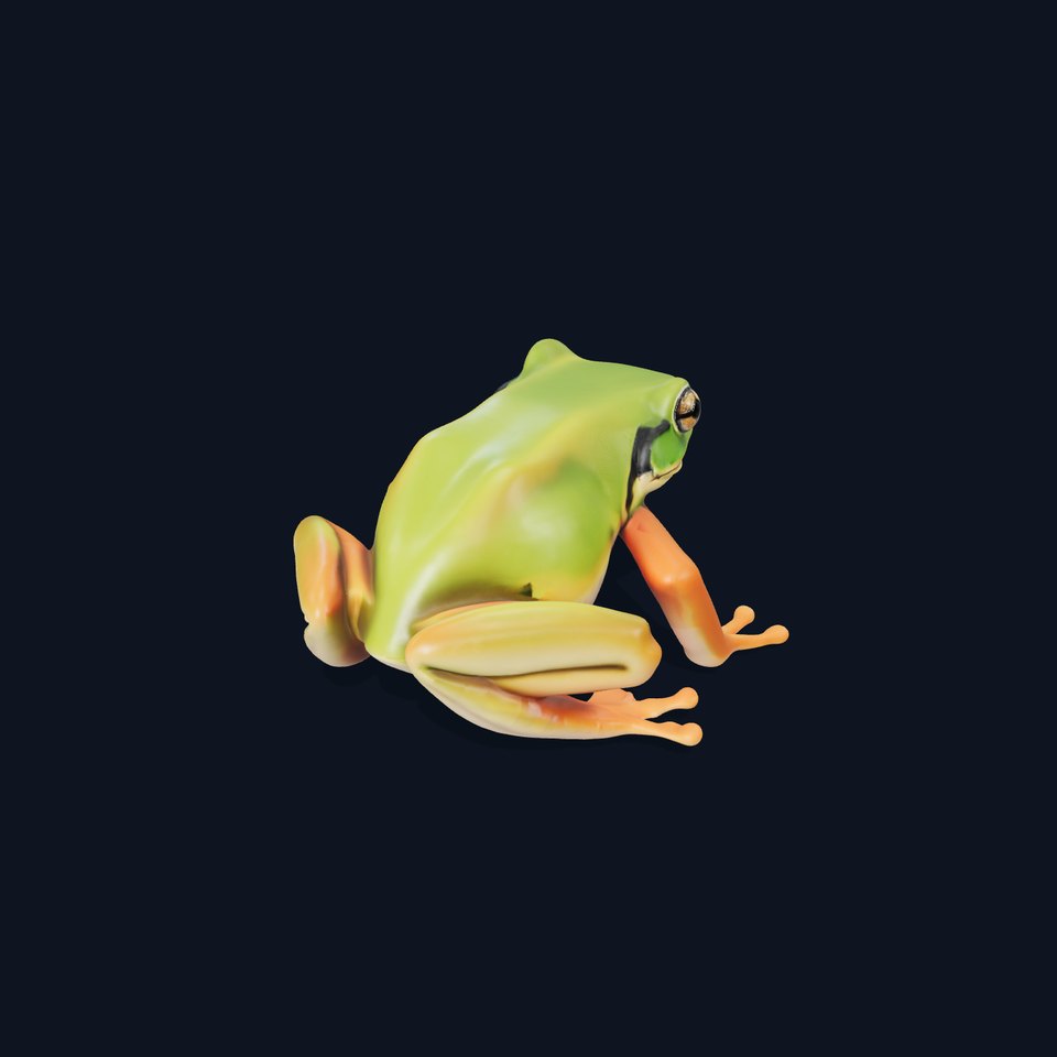 Colorful Frog Model Pack for D Rendering and Animations