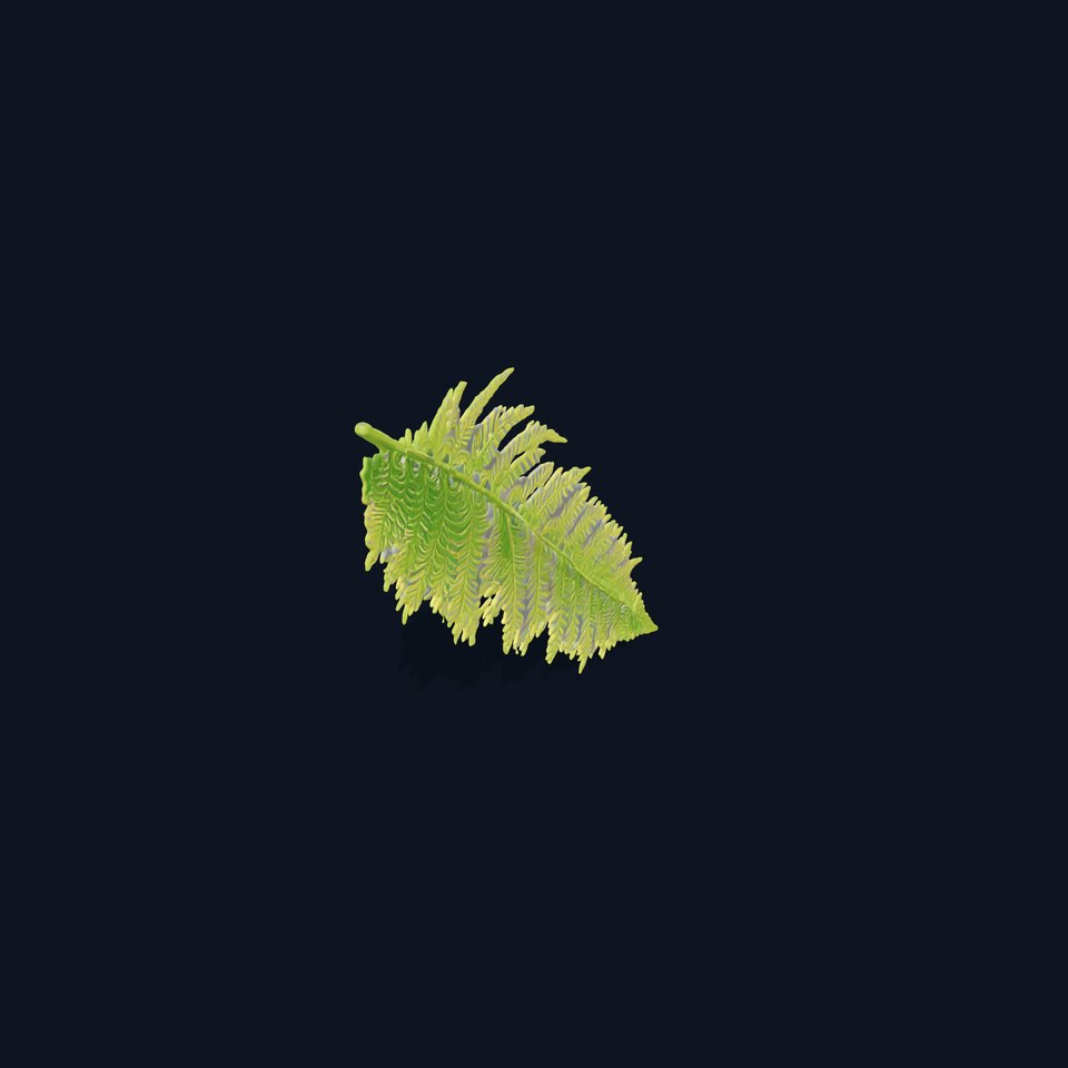 Vibrant Fern Leaf model pack viewer poster