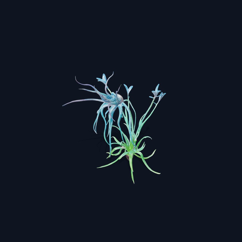 Teal Alien Plant model pack viewer poster