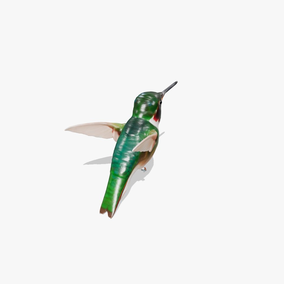 Emerald Hummingbird model pack viewer poster
