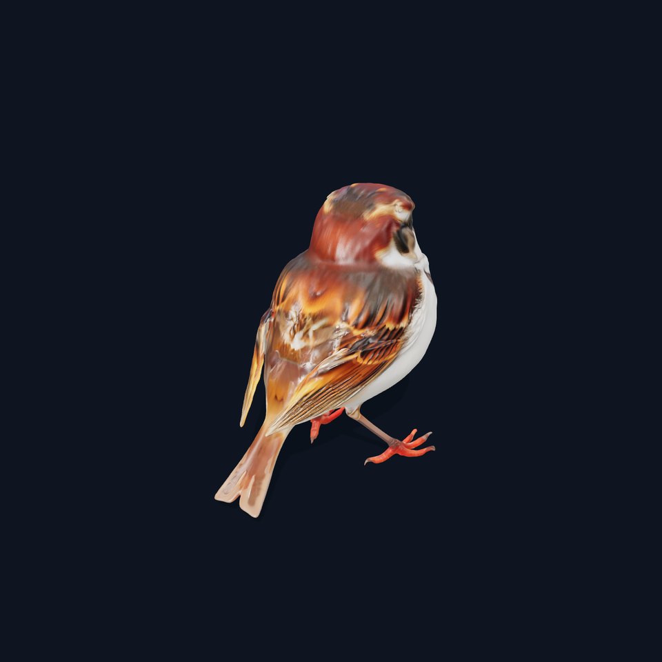 Vivid Sparrow Bird model pack viewer poster