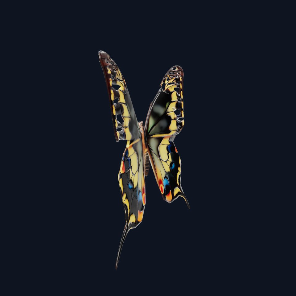 Vibrant Butterfly Wings model pack viewer poster