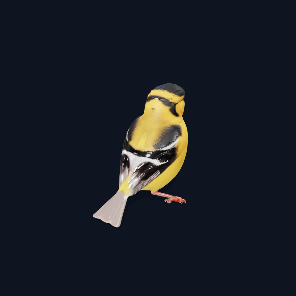 Vivid Finch Bird model pack viewer poster