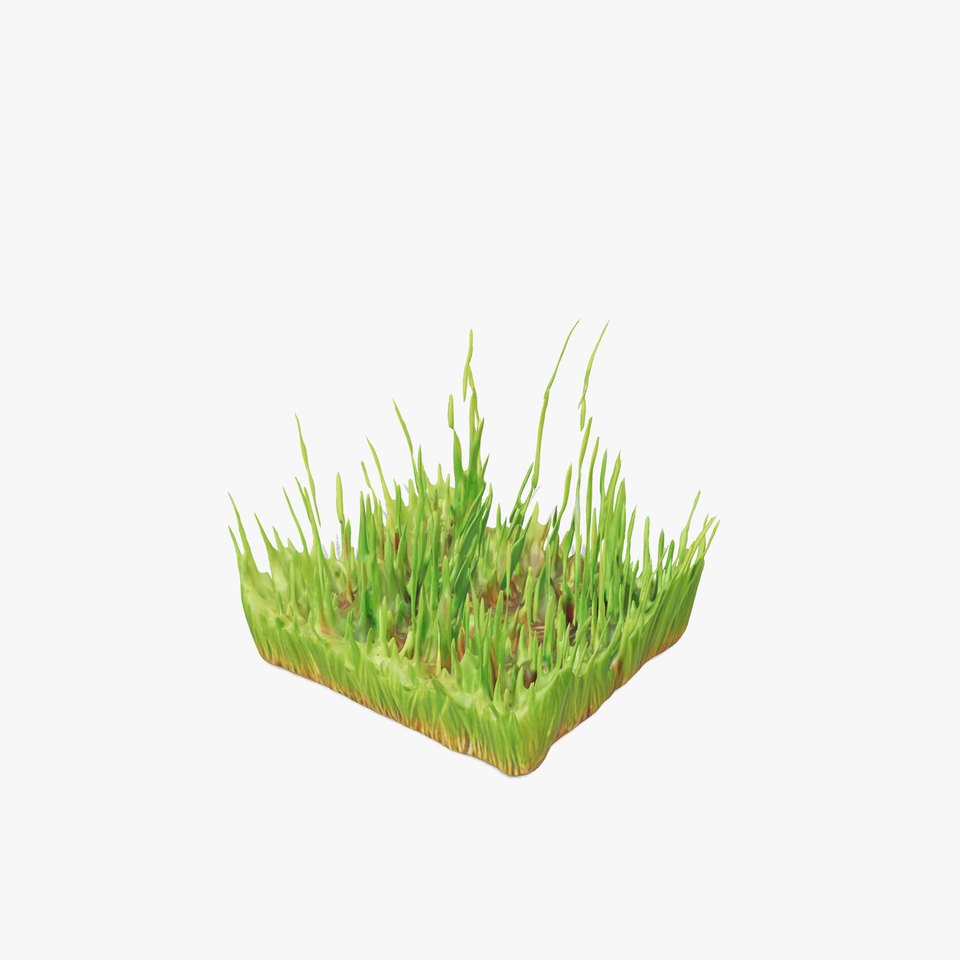 Lush Green Grass model pack viewer poster