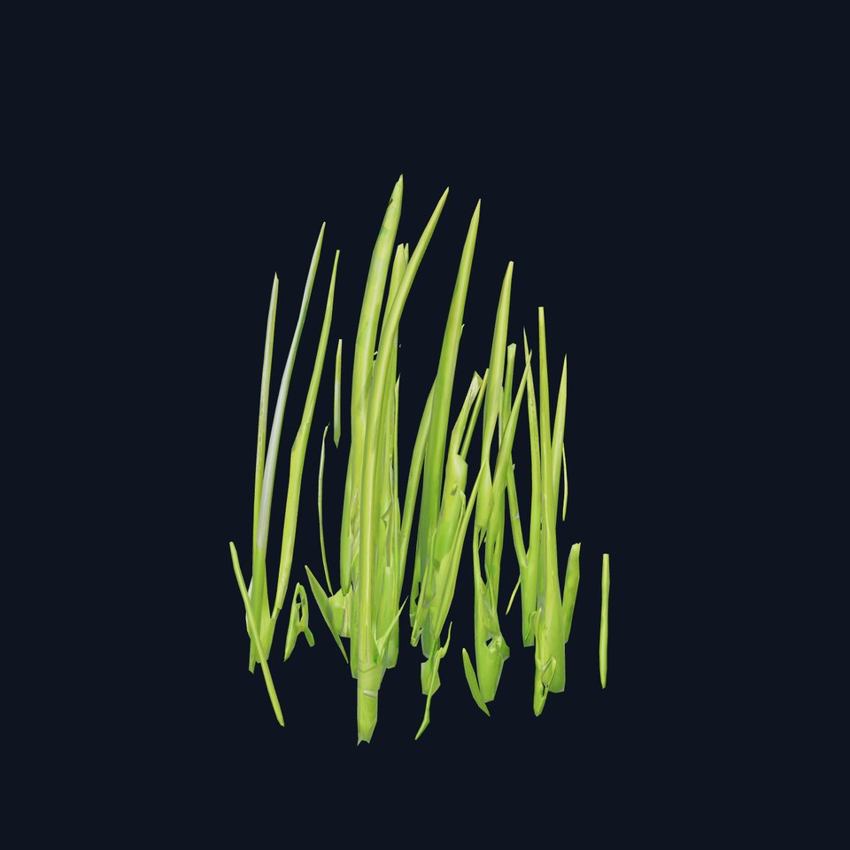 Lush Grass Blades model pack viewer poster