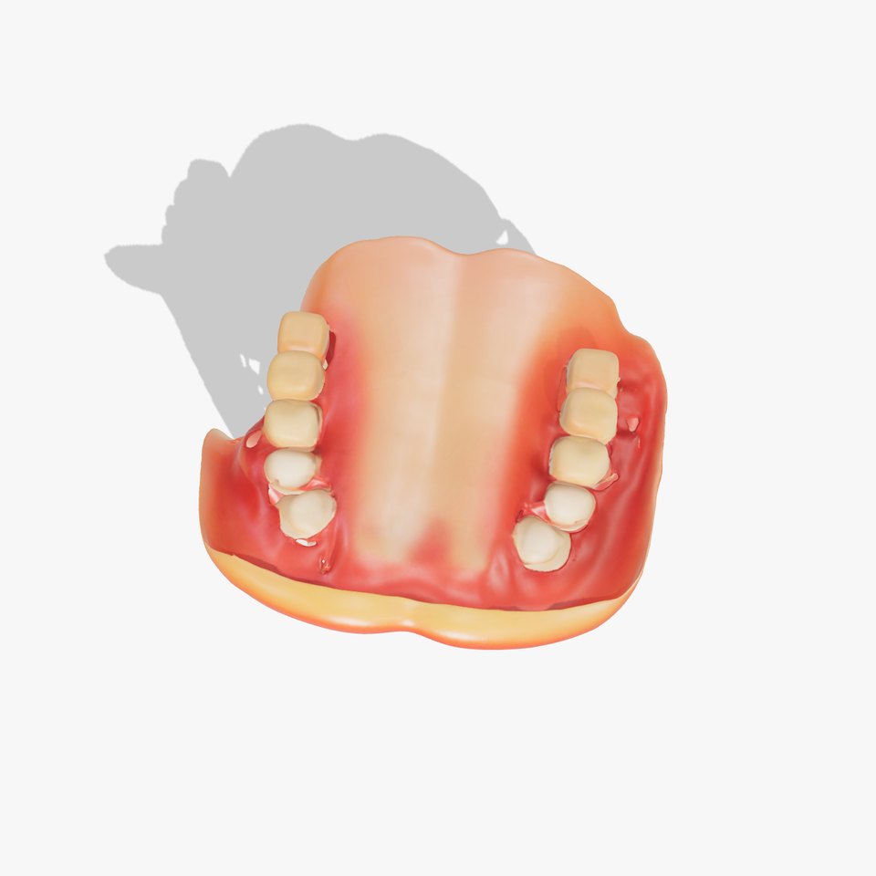 Realistic Human Teeth model pack viewer poster