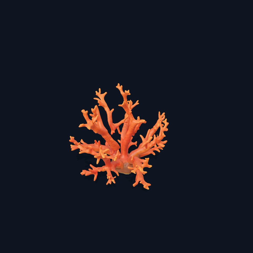 Vibrant Coral Reef model pack viewer poster