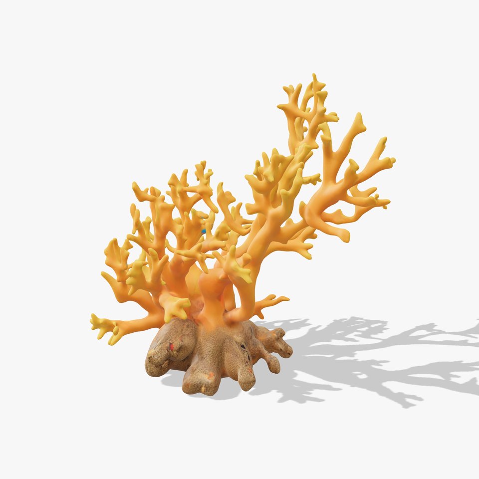 Vivid Coral Reef model pack viewer poster