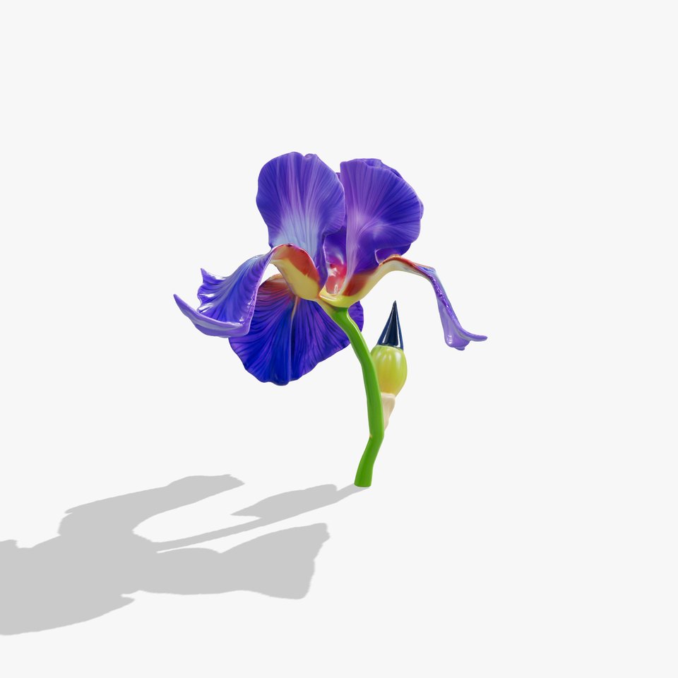Vibrant Iris Flower model pack viewer poster