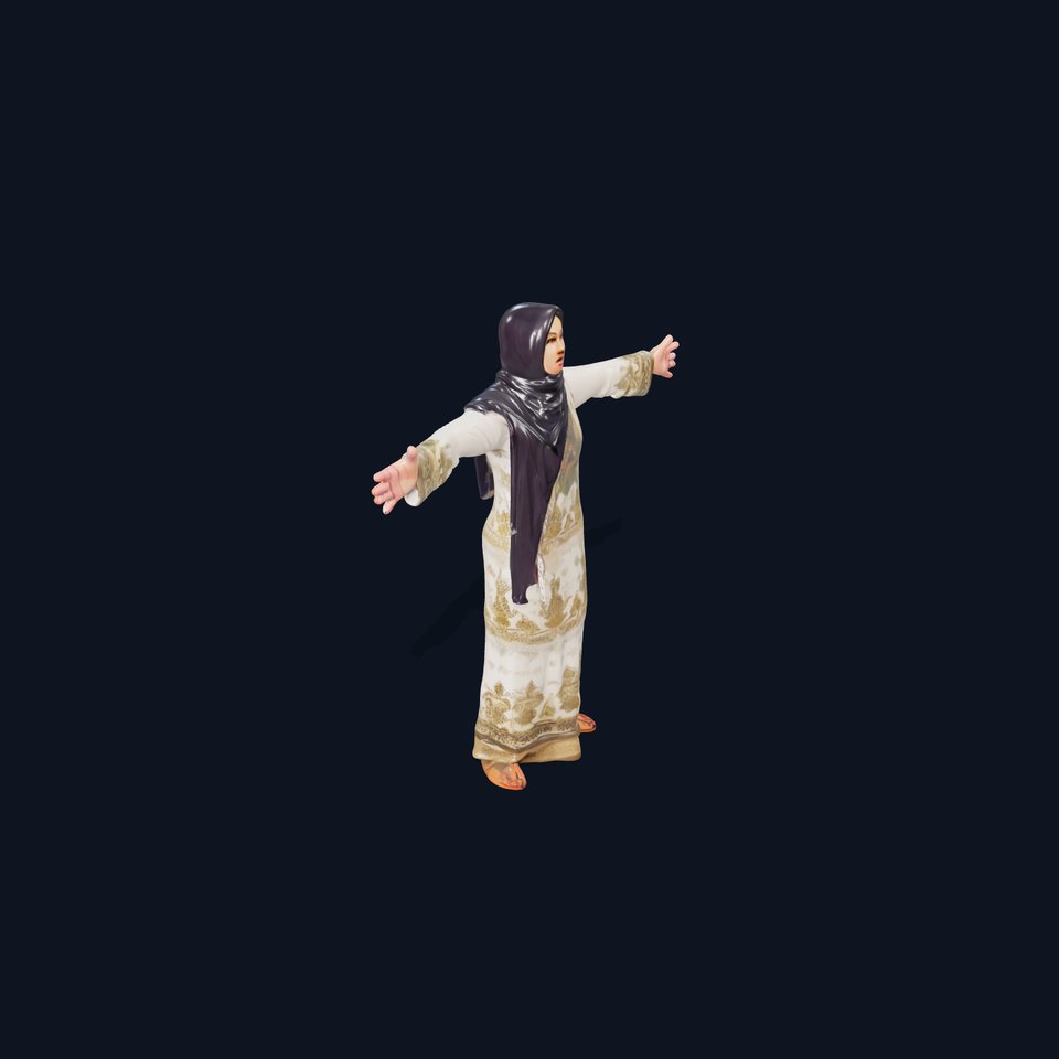 Elegant Embroidered Dress model pack viewer poster