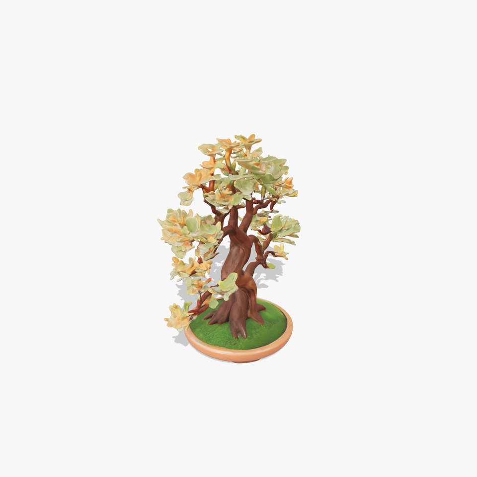 Realistic Bonsai Tree model pack viewer poster