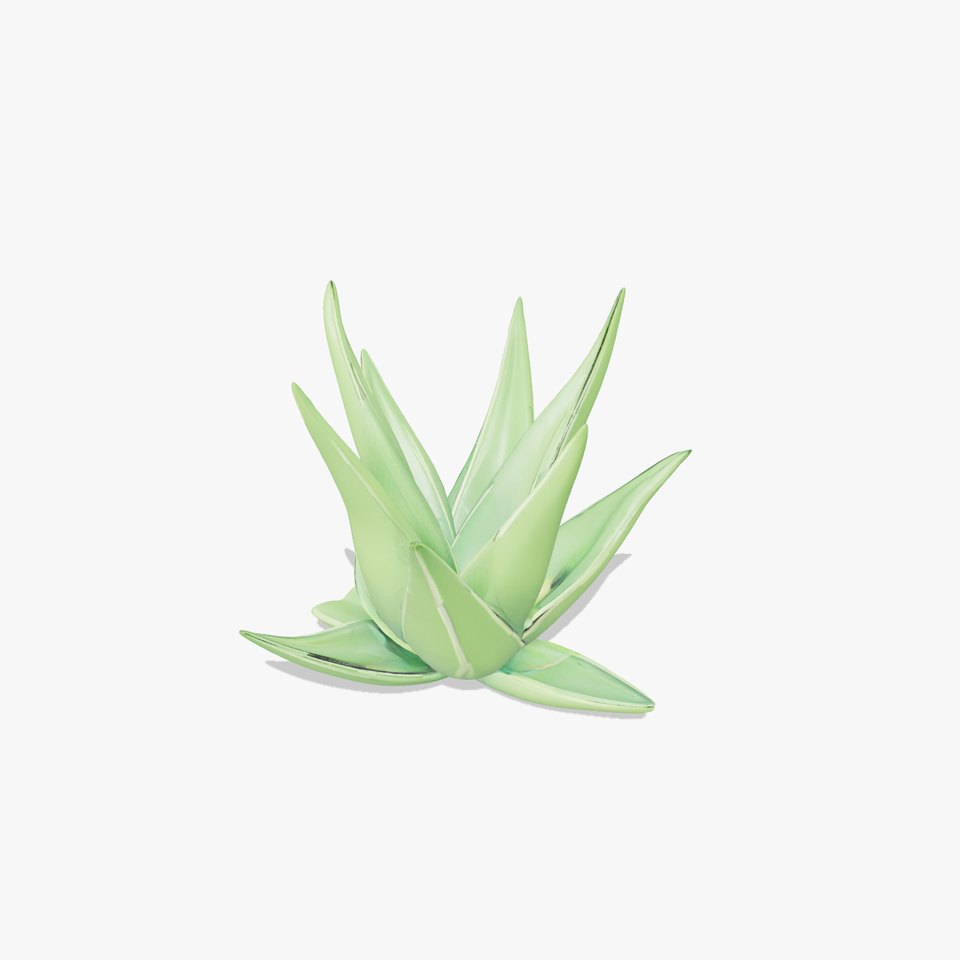 Green Aloe Vera model pack viewer poster