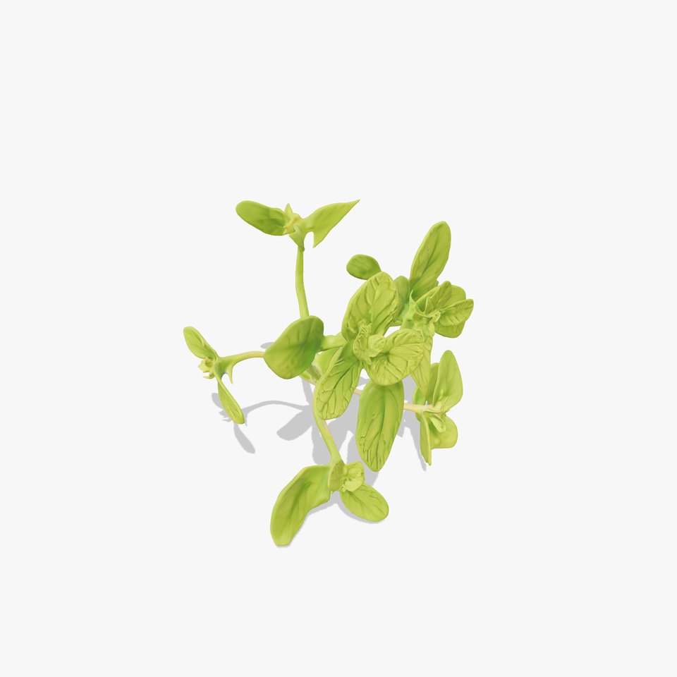 Fresh Mint Leaf model pack viewer poster
