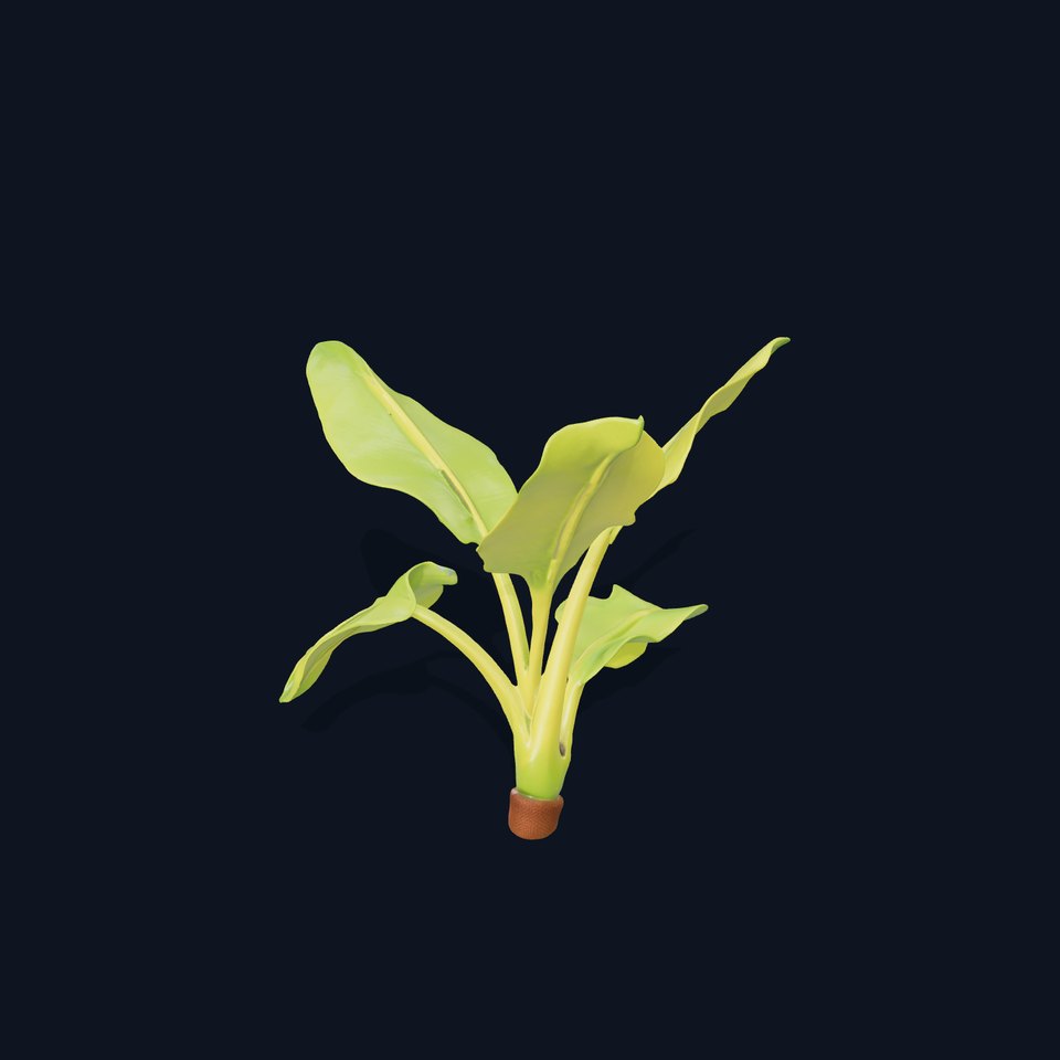 Bright Banana Leaf model pack viewer poster