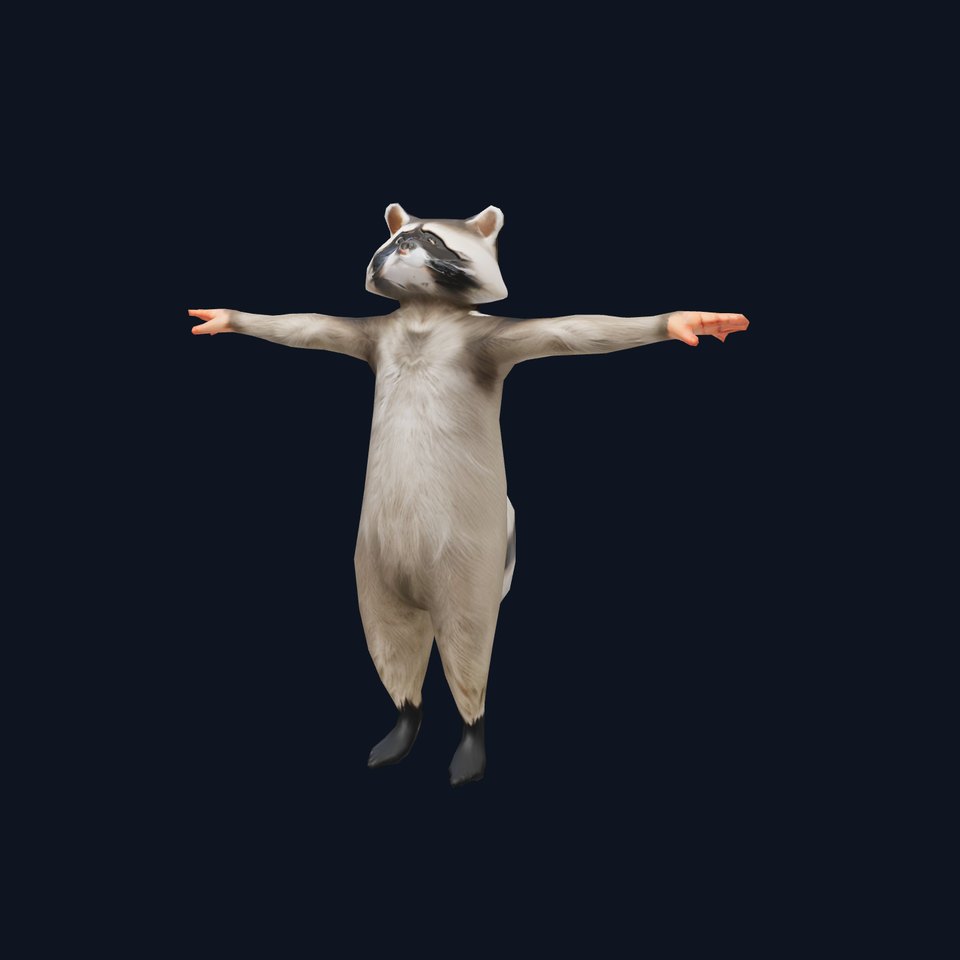 Lifelike Raccoon model pack viewer poster