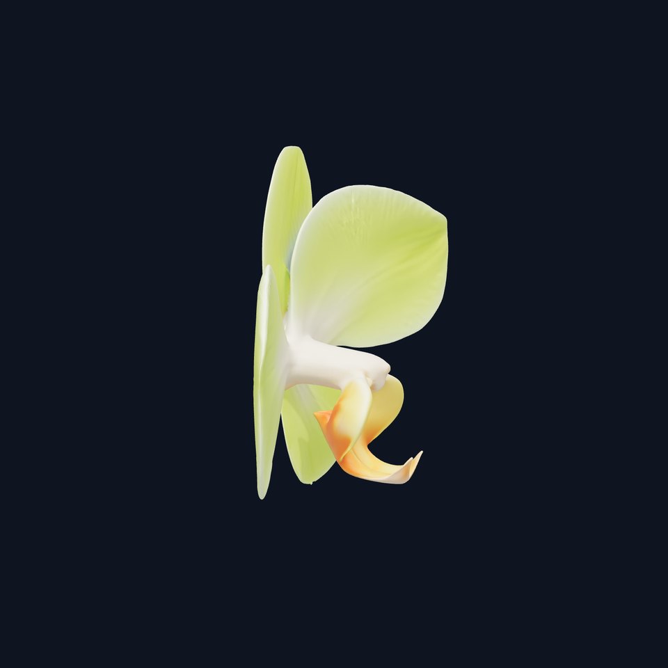 Elegant Green Orchid model pack viewer poster