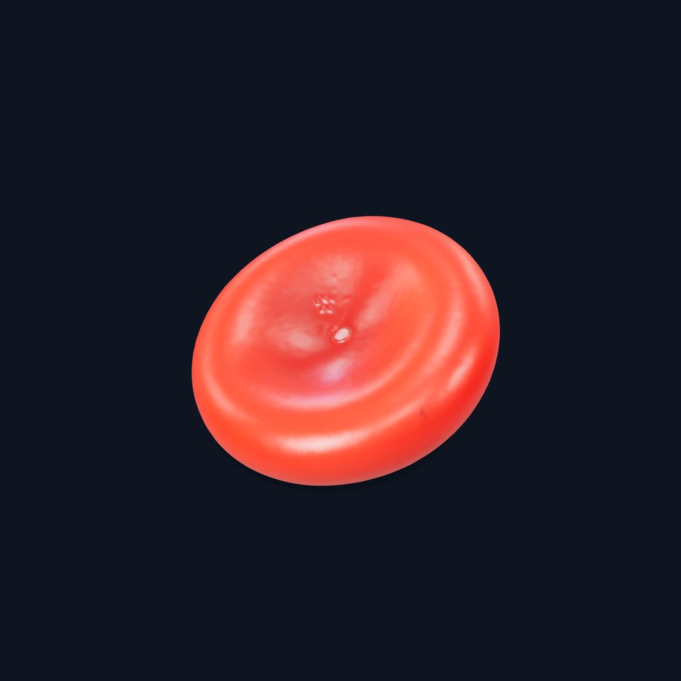 Red Blood Cell model pack viewer poster