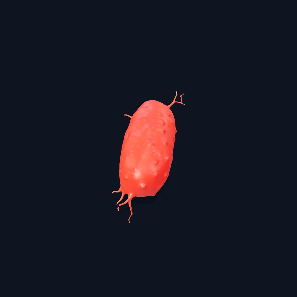Red Bacterium model pack