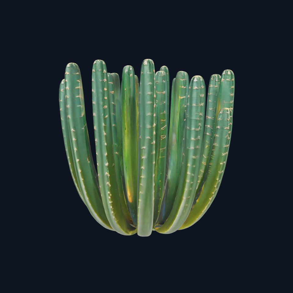 Emerald Cactus Collection model pack viewer poster