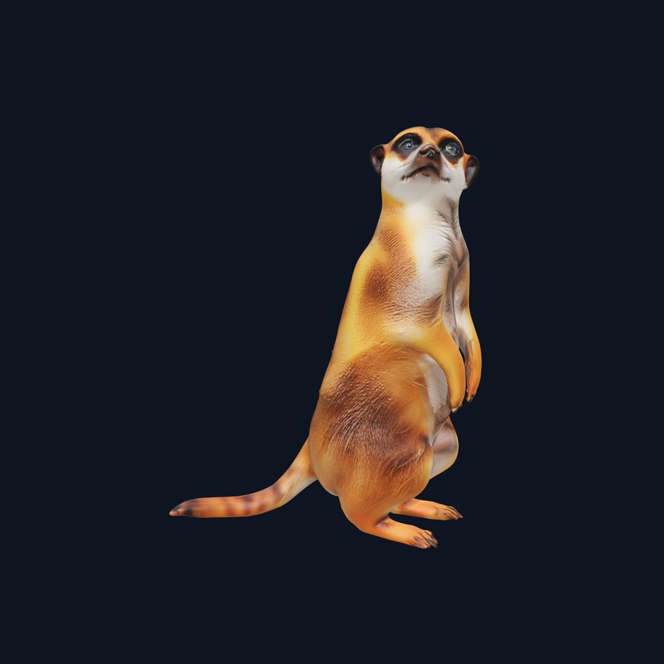 Stylish Meerkat model pack viewer poster