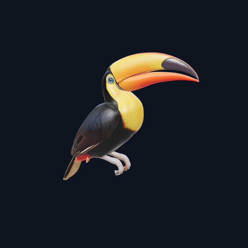 Colorful Toucan model pack viewer poster